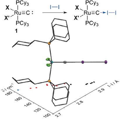 Modification of σ-Donor Properties of Terminal Carbide Ligands Investigated Through Carbide–Iodine Adduct Formation