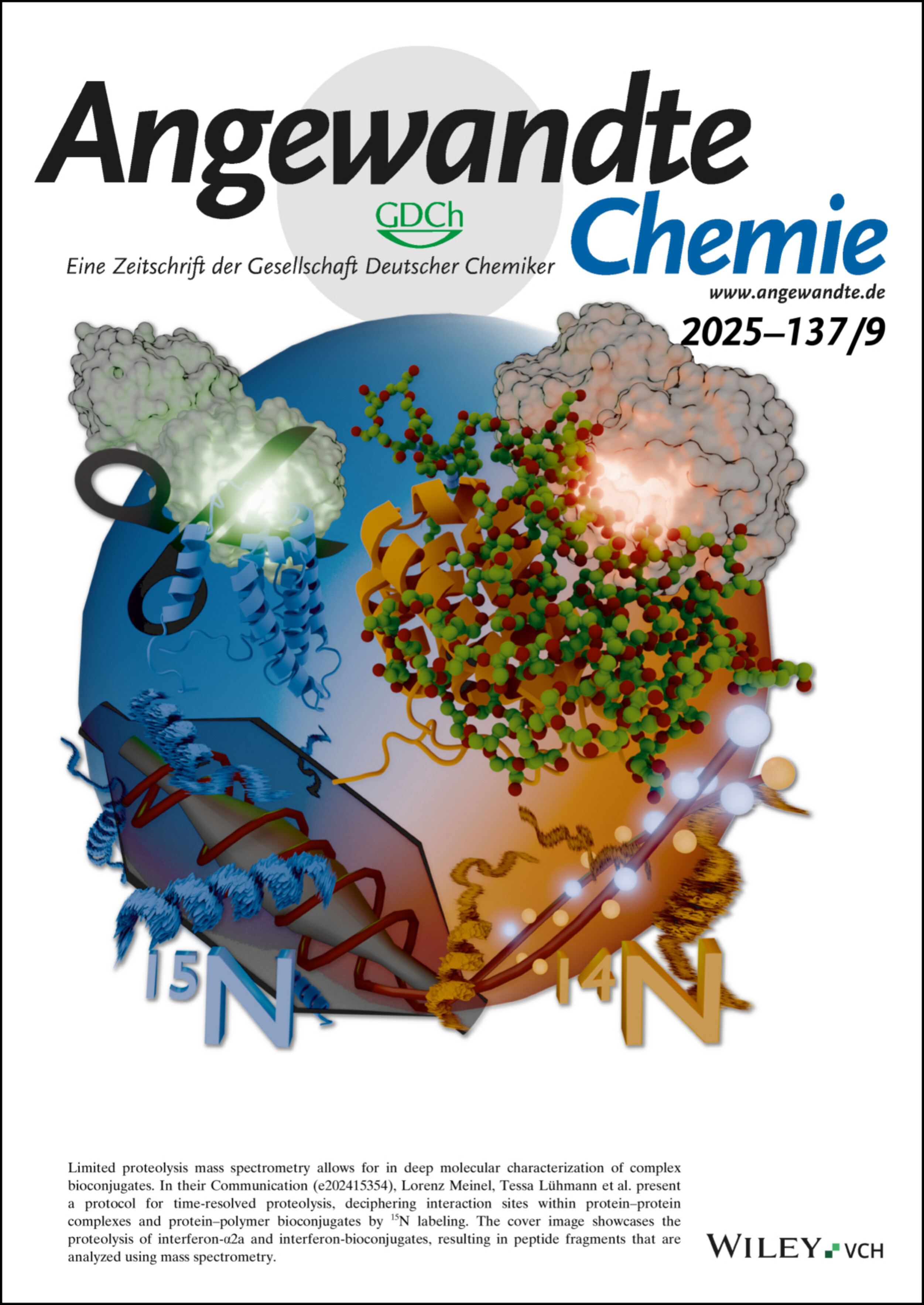 Titelbild: Entschlüsselung der Polymer-Interaktionen in Biokonjugaten unterschiedlicher Architektur durch zeitaufgelöste limitierte Proteolyse mit massenspektrometrischer Analyse (Angew. Chem. 9/2025) Volume 137 Issue 9, 2025