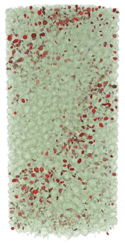 Details are in the caption following the image Details are in the caption following the image