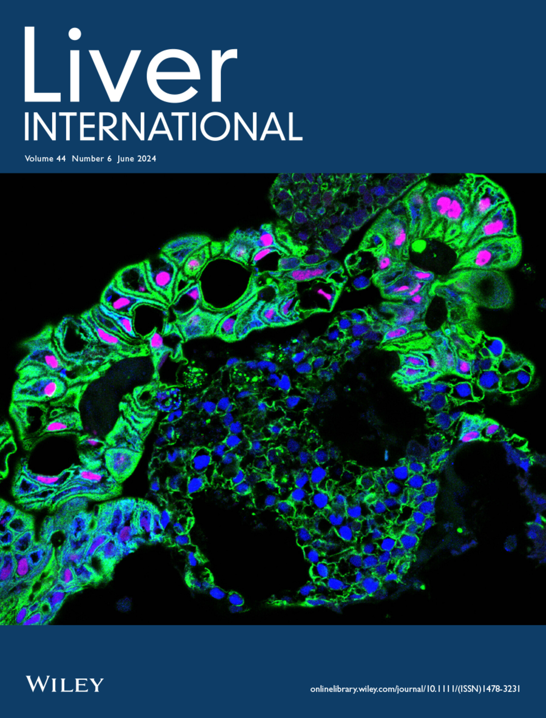 Cover Image Volume 44 Issue 6, 2024
