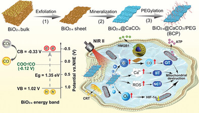 Vacancy-Rich Bismuth-Based Nanosheets for Mitochondrial Destruction via CO Poisoning, Ca2+ Dyshomeostasis, and Oxidative Damage