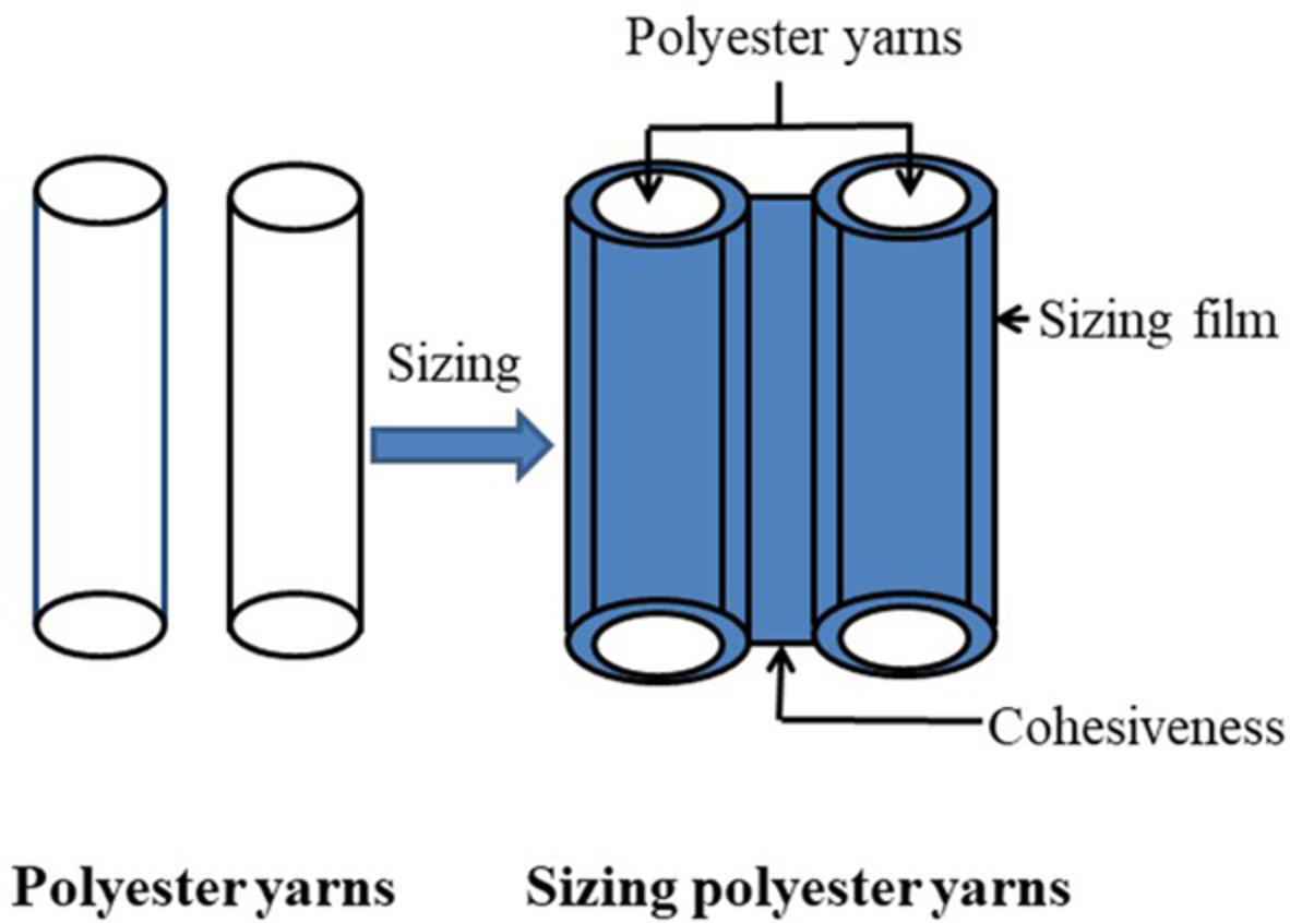 Effect of hyperbranched poly(trimellitic glyceride)/oxidized starch composite sizing agent on the adhesion of polyester yarns