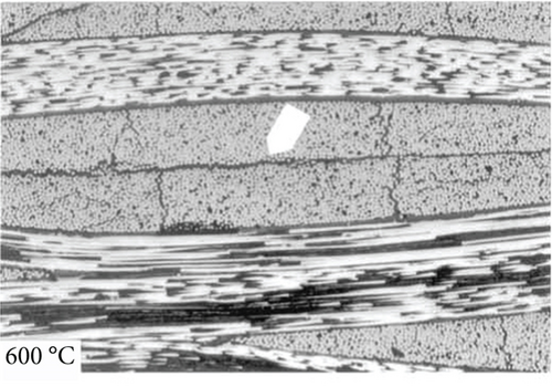Details are in the caption following the image