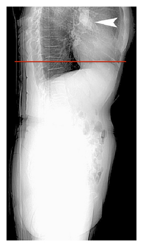 Details are in the caption following the image Details are in the caption following the image