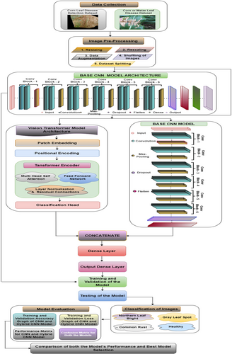 Details are in the caption following the image Details are in the caption following the image