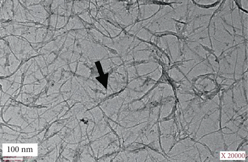 Details are in the caption following the image
