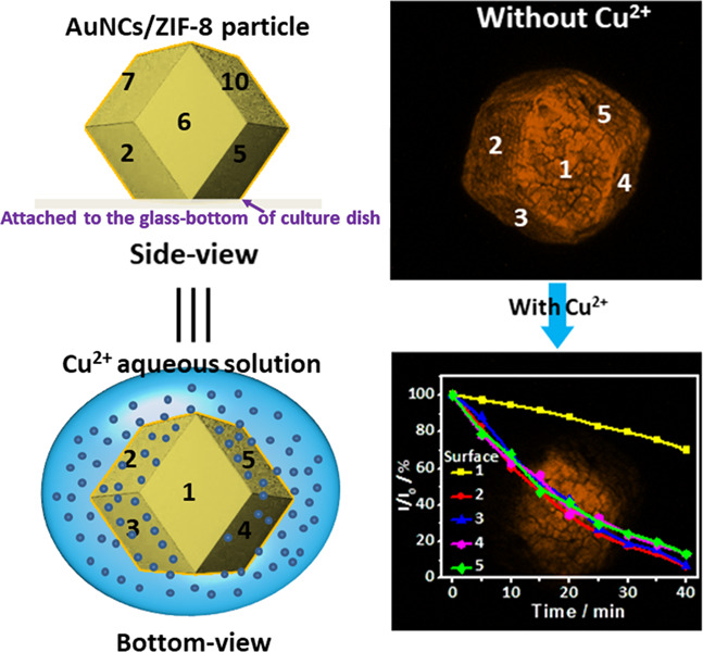 Single Particle-Based Confocal Laser Scanning Microscopy for Visual Detection of Copper Ions in Confined Space†
