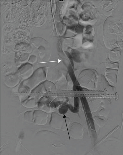 Details are in the caption following the image Details are in the caption following the image