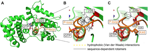 Details are in the caption following the image