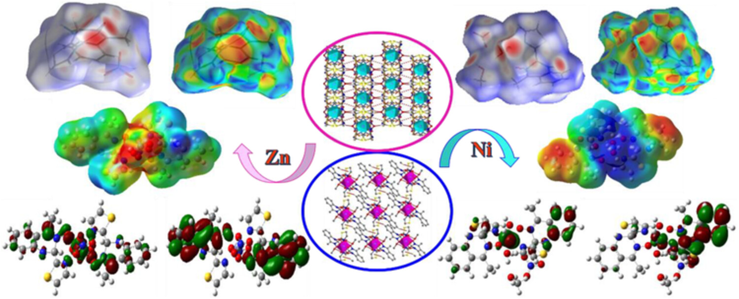 Synthesis, spectroscopic studies, and single-crystal structures of two 3-D supramolecular zinc(II) and nickel(II) complexes containing thiazole ring: Antimicrobial assays, time-dependent density functional theory calculations, and Hirshfeld surface analysis