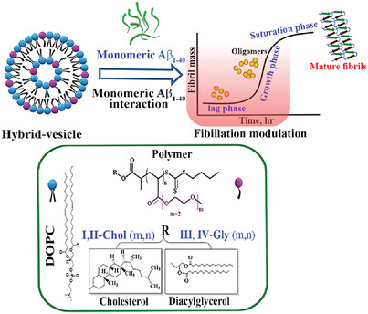 Inhibition of the Fibrillation of Amyloid Aβ1-40 by Hybrid-Lipid-Polymer Vesicles
