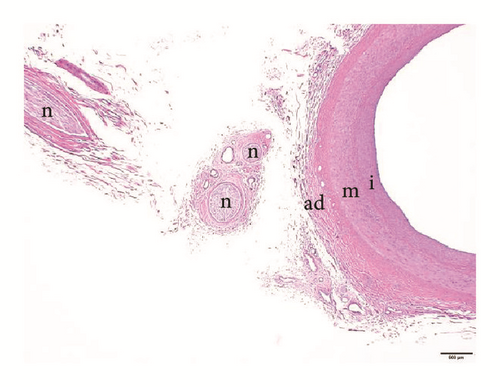 Details are in the caption following the image Details are in the caption following the image