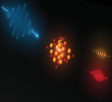 Spin-Polarized Photoluminescence in Au25(SC8H9)18 Monolayer-Protected Clusters