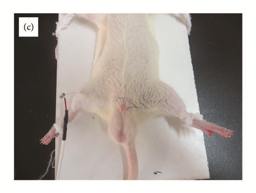 Details are in the caption following the image Details are in the caption following the image