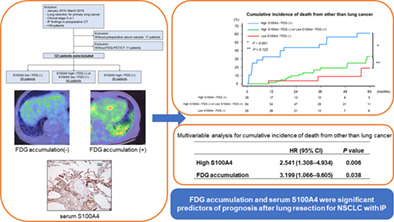 Usefulness of serum S100A4 and positron-emission tomography on lung cancer accompanied by interstitial pneumonia