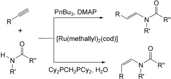 Ru-Catalyzed Anti-Markovnikov Addition of Amides to Alkynes: A Regio- and Stereoselective Synthesis of Enamides