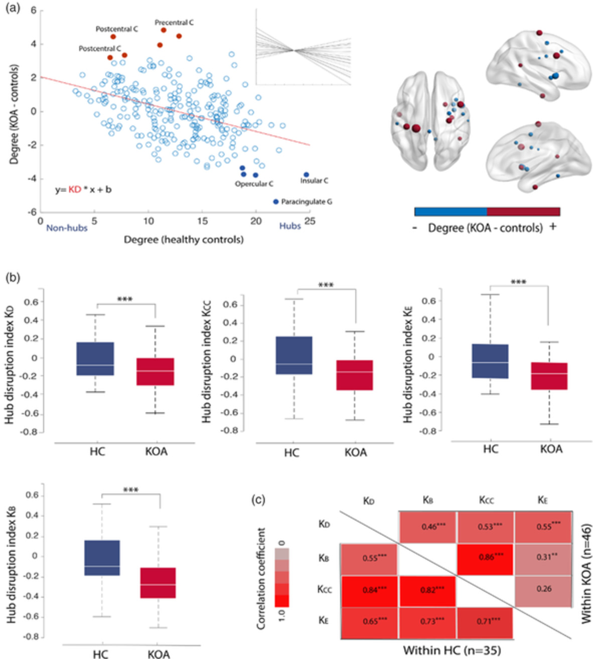 Reorganization of functional brain network architecture in chronic osteoarthritis pain