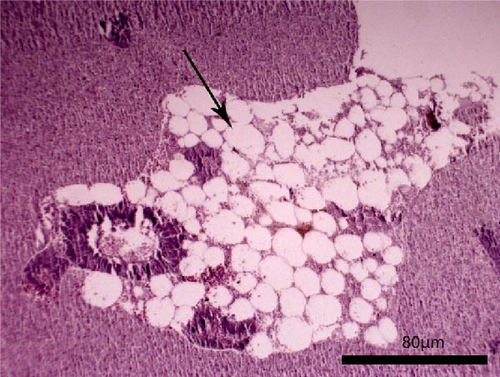 Details are in the caption following the image