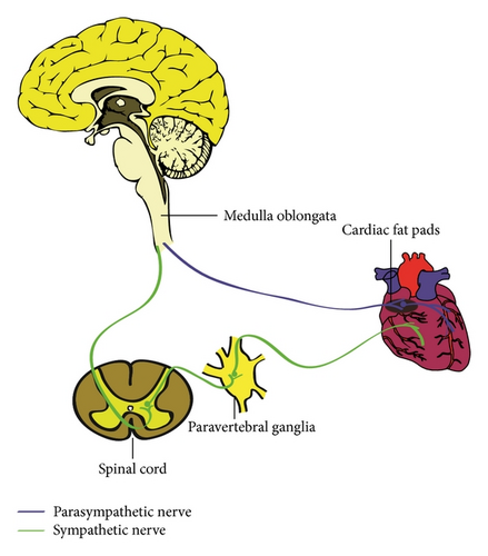 Details are in the caption following the image