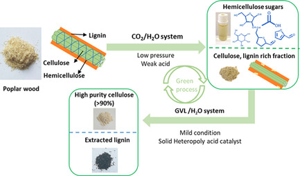 Sequential Fractionation of Lignocellulosic Biomass Using CO2-Assisted Hydrolysis Combined with γ-Valerolactone Treatment
