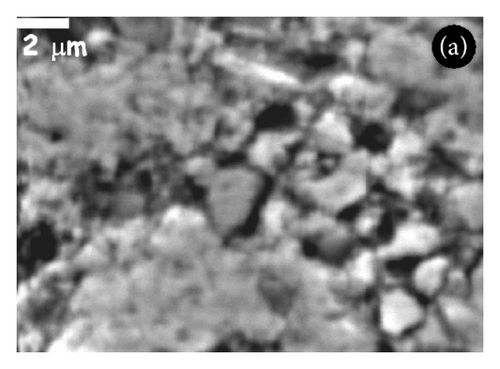 Details are in the caption following the image