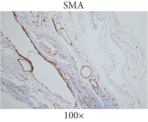 Details are in the caption following the image