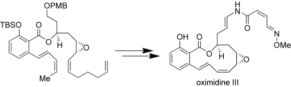 Total Synthesis of the Salicylate Enamide Macrolide Oximidine III: Application of Relay Ring-Closing Metathesis