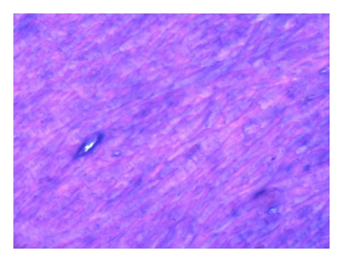 Details are in the caption following the image