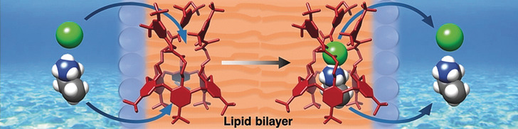 Repositioning Chloride Transmembrane Transporters: Transport of Organic Ion Pairs