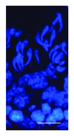 Details are in the caption following the image