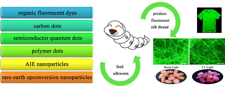 Fluorescent Silk Obtained by Feeding Silkworms with Fluorescent Materials†