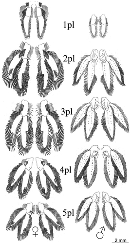 Details are in the caption following the image Details are in the caption following the image