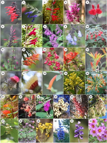 Details are in the caption following the image Details are in the caption following the image