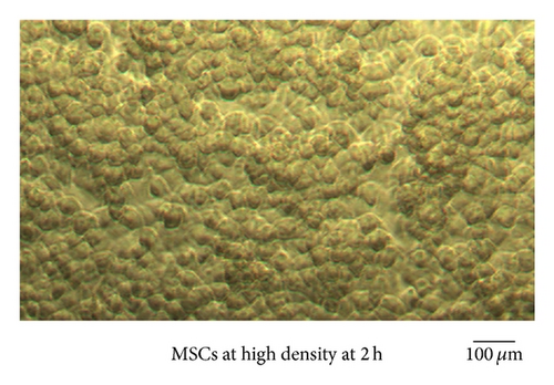 Details are in the caption following the image