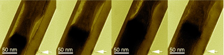 Hollow and Tin-Filled Nanotubes of Single-Crystalline In(OH)3 Grown by a Solution–Liquid–Solid–Solid Route