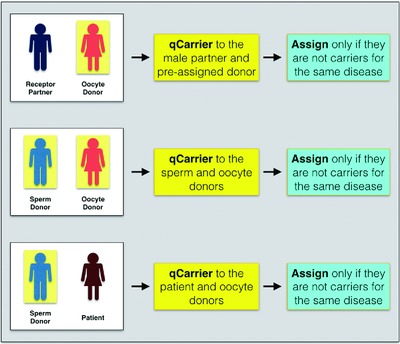 NGS-Based Assay for the Identification of Individuals Carrying Recessive Genetic Mutations in Reproductive Medicine