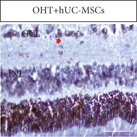 Details are in the caption following the image