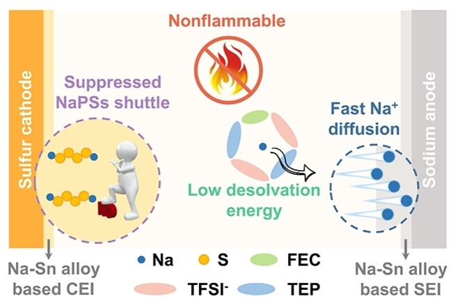 Tailoring Na+ Solvation Environment and Electrode-Electrolyte Interphases with Sn(OTf)2 Additive in Non-flammable Phosphate Electrolytes towards Safe and Efficient Na-S Batteries