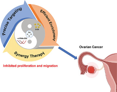 Engineering Nano-Pills to Inhibit Ovarian Cancer Proliferation and Migration through a Combination of Chemical/Nucleic Acid Therapy