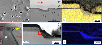 Microstructural Analysis of Local Silicon Corrosion of Bifacial Solar Cells as Root Cause of Potential-Induced Degradation at the Rear Side