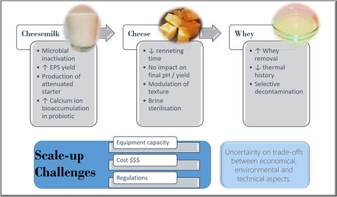 Potential applications of pulsed electric field in cheesemaking