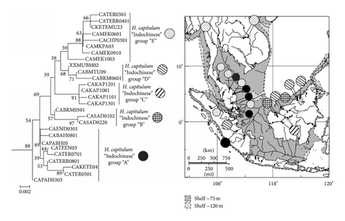 Details are in the caption following the image