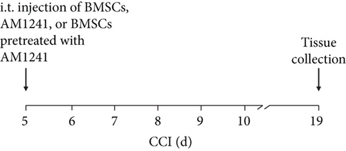 Details are in the caption following the image
