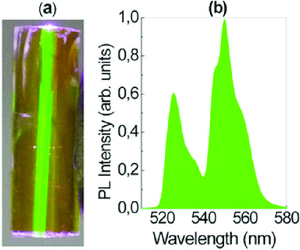 Intense Anti-Stokes Emission from Erbium Ions in Gallium Lanthanum Sulphide–Oxide Glass in the Visible Spectral Range