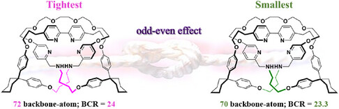 Is the Smallest Molecular Trefoil Knot Actually the Tightest One?