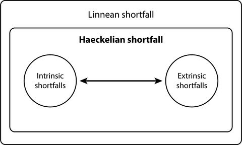 The Haeckelian shortfall or the tale of the missing semaphoronts Issue 2, 2021