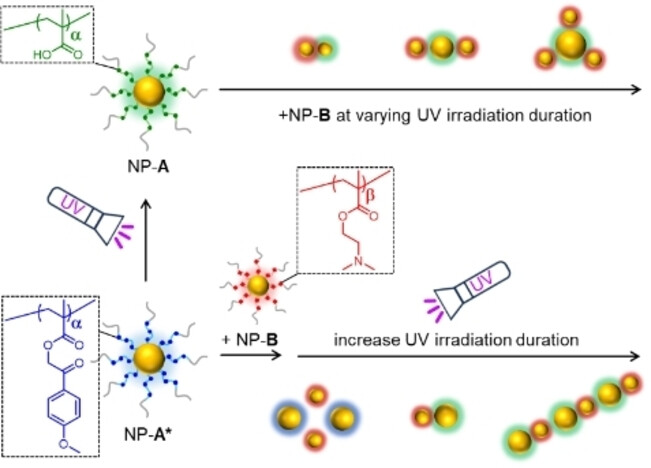Photo-Induced Self-assembly of Copolymer-Capped Nanoparticles into Colloidal Molecules