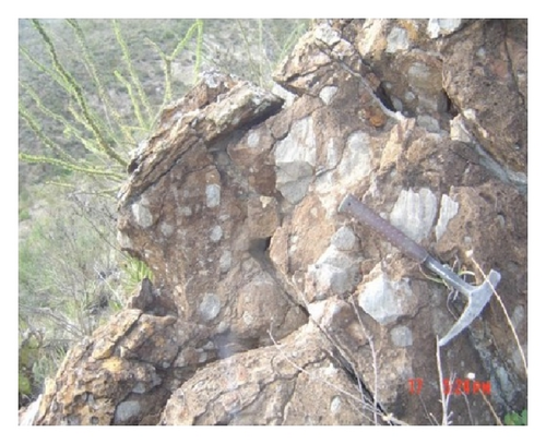Details are in the caption following the image