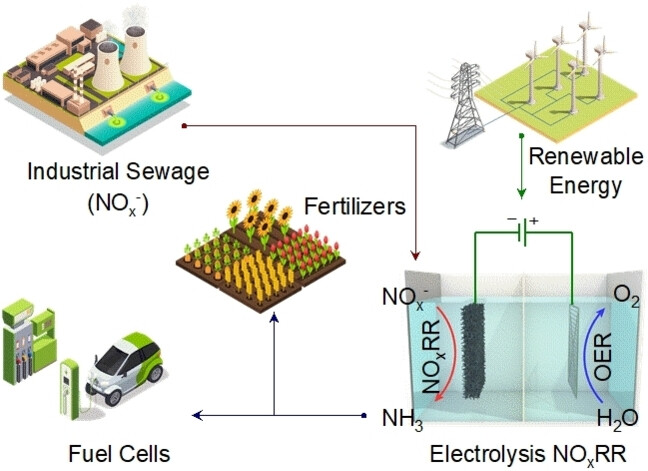 Gram-level NH3 Electrosynthesis via NOx reduction on a Cu Activated Co Electrode