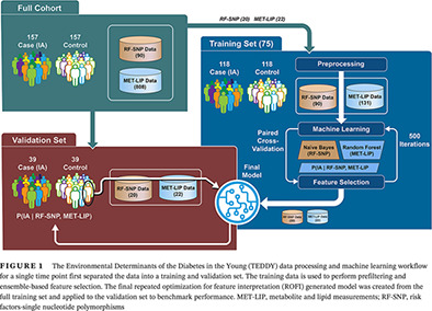 Prediction of the development of islet autoantibodies through integration of environmental, genetic, and metabolic markers 通过整合环境、遗传和代谢标记物预测胰岛自身抗体的发展